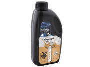 Motorový olej Riwall SAE 5W-30