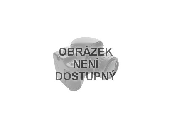 Dvoukotoučová bruska/leštička se systémem Flexidrive Scheppach HG 35