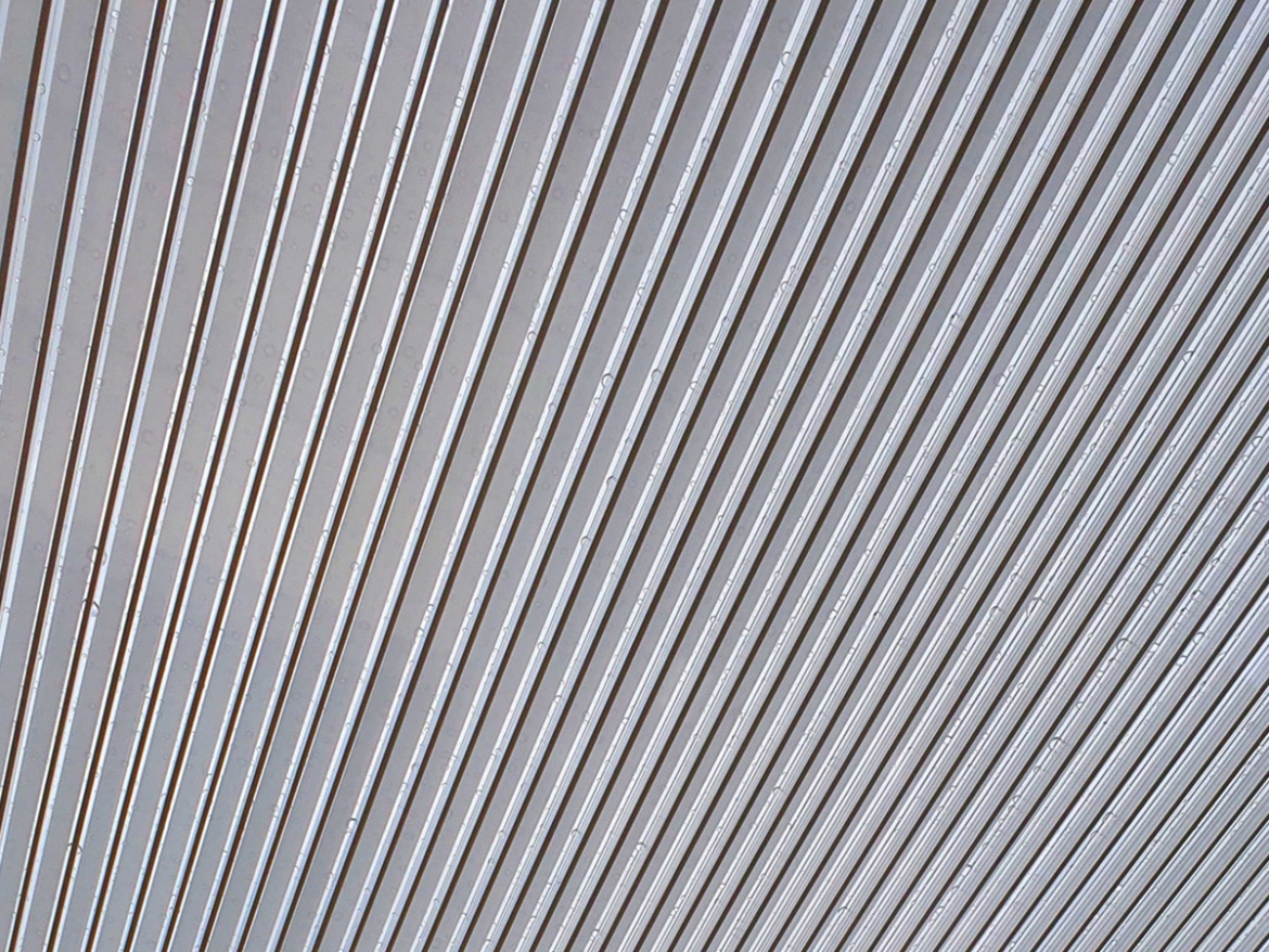 Polykarbonátová deska Gutta Guttagliss Zebra 16 mm