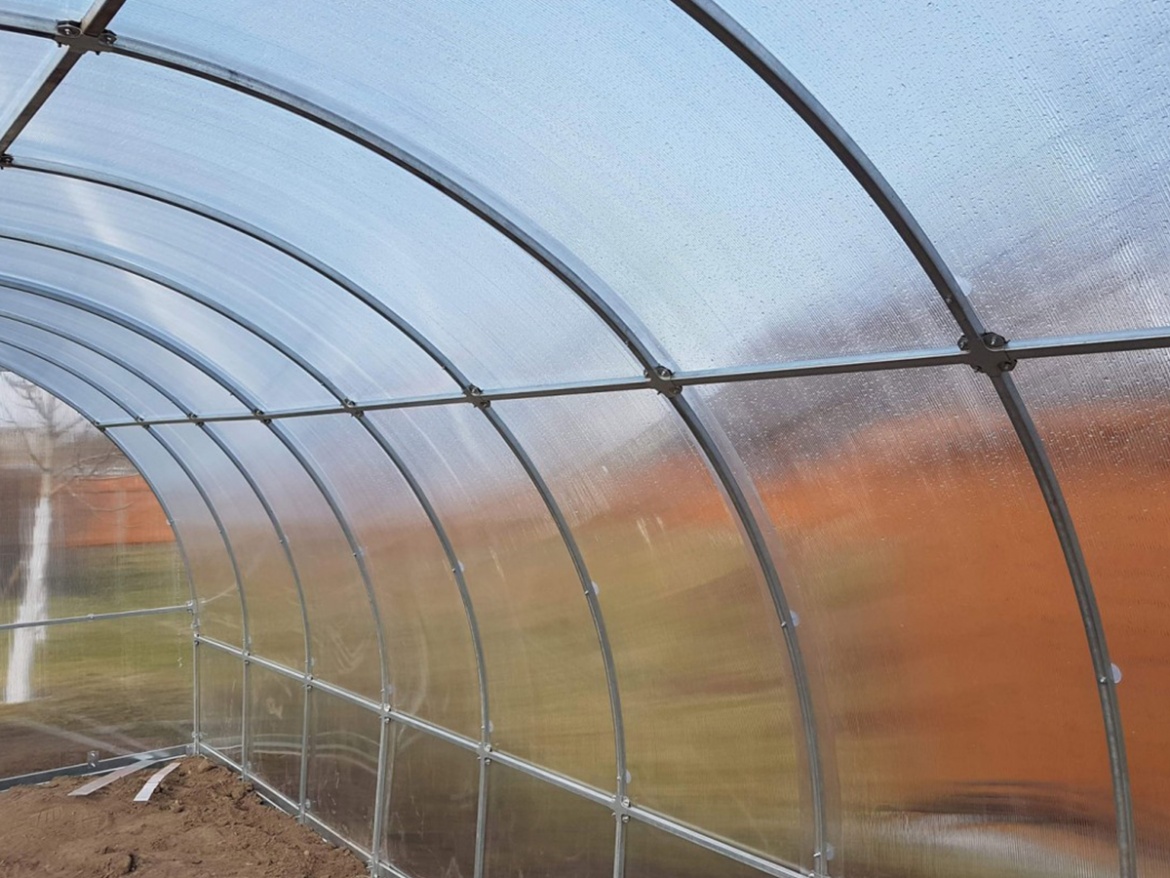 Zahradní skleník z polykarbonátu Gutta Gardentec Classic T