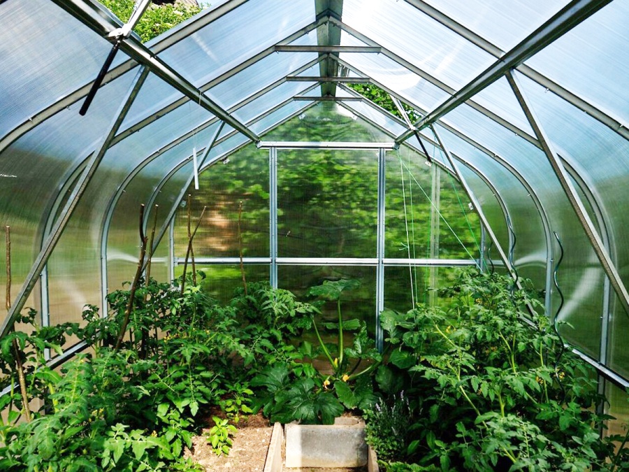 Zahradní skleník z polykarbonátu Gutta Gardentec Standard