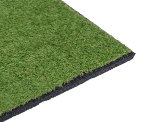 Scobax –  Scobax Grass