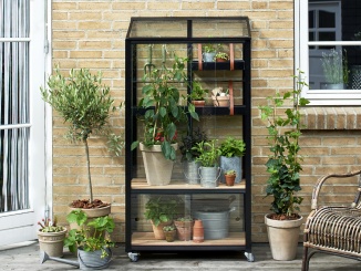 Juliana –  Juliana City Greenhouse