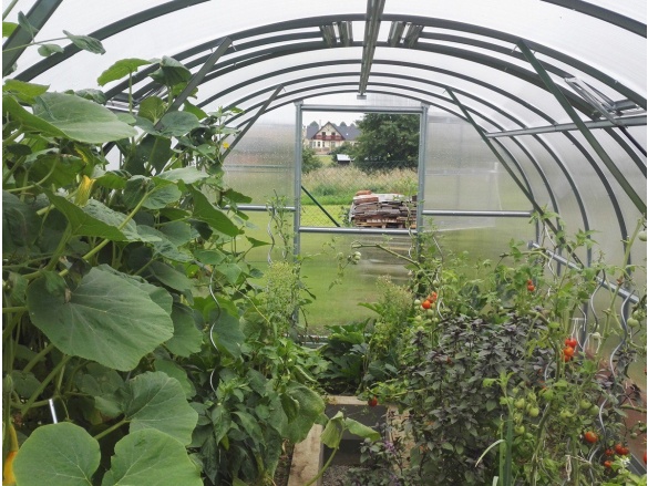 Zahradní skleník z polykarbonátu Gutta Gardentec Classic