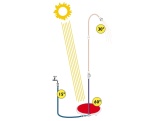 Marimex Sun 8
