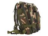 Batoh Army Wood Cattara 30