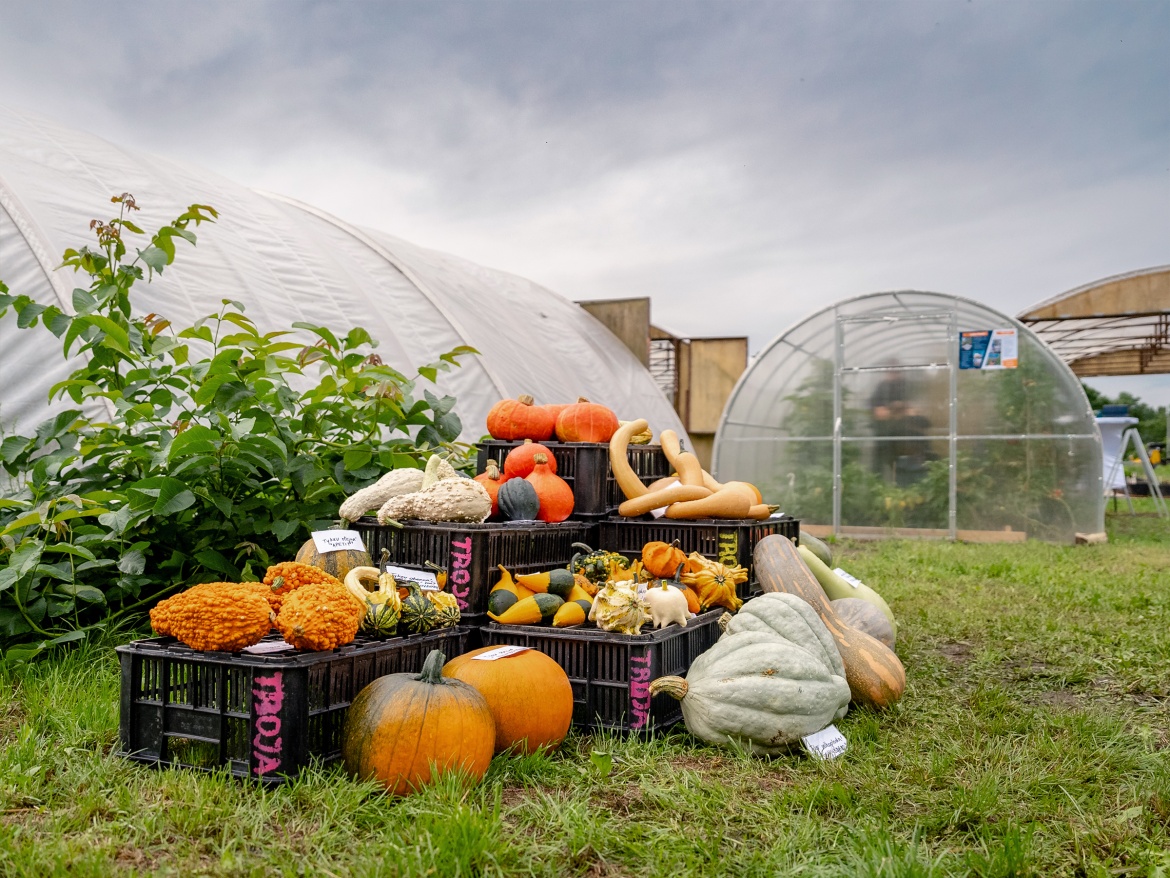 Náš autonomní skleník na hortibotickém dni