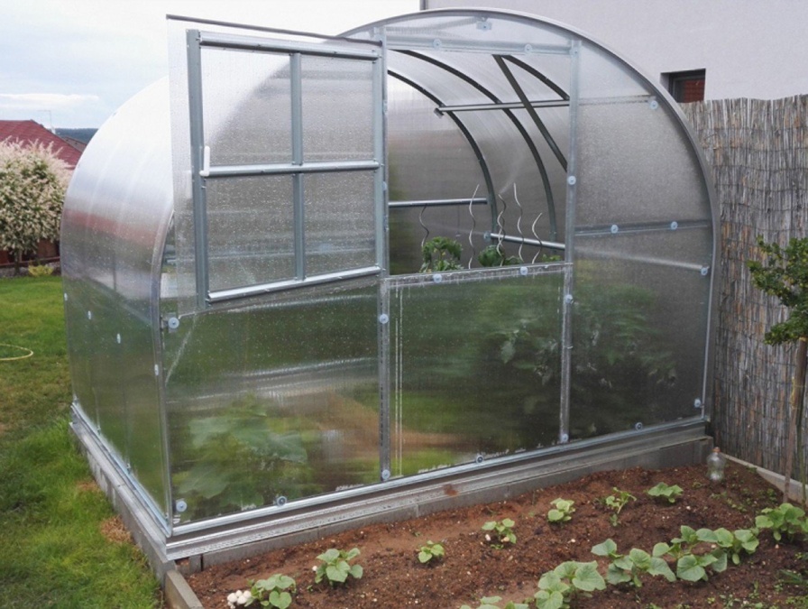 Zahradní skleník z polykarbonátu Gutta Gardentec Classic