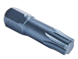 Skleníky –  Rawlplug Bit TORX40 25
