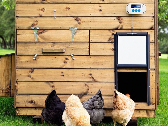 Komplet automatického otevírání a zavírání kurníku ChickenGuard Pro